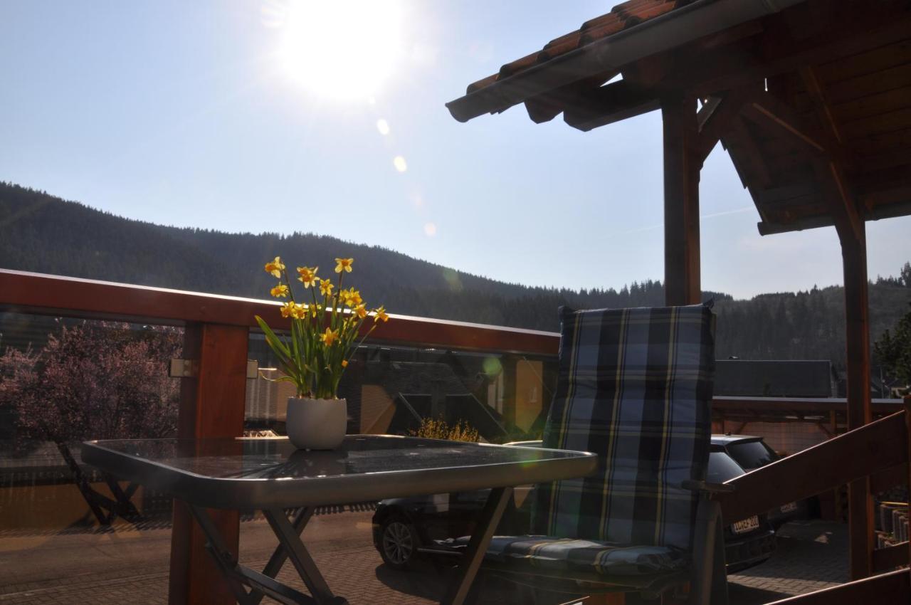 Hermannsteinblick Ilmenau Exteriér fotografie